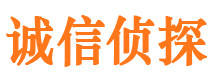 东光市调查公司